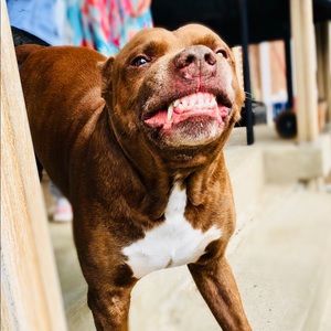 Meet your Posher, Matthew